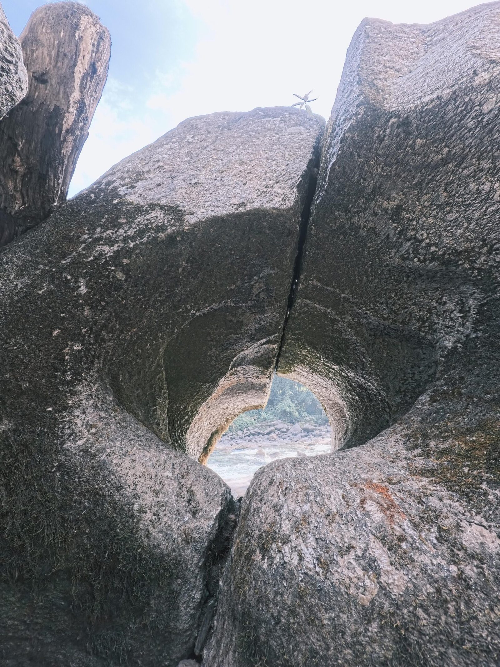 gallery grid image
